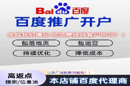 百度竞价排名实战：关键词优化与广告投放效果评估案例